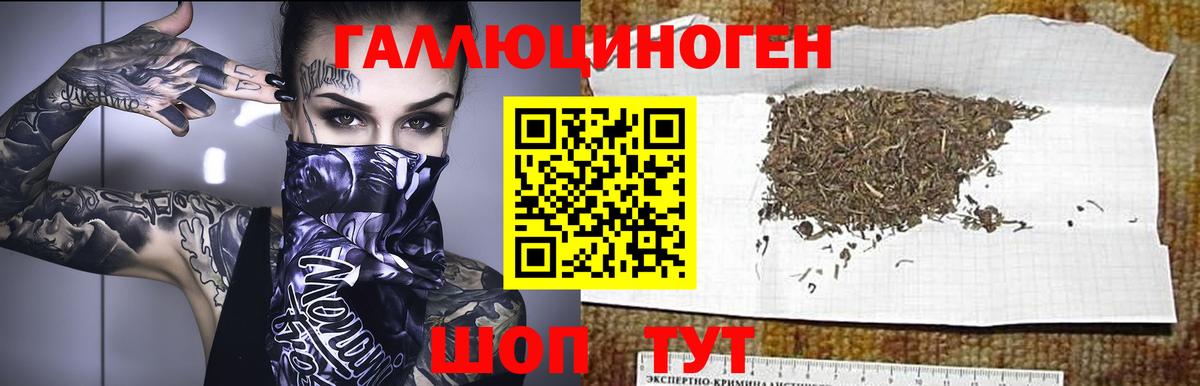 Псилоцибиновые грибы прущие грибы Егорьевск