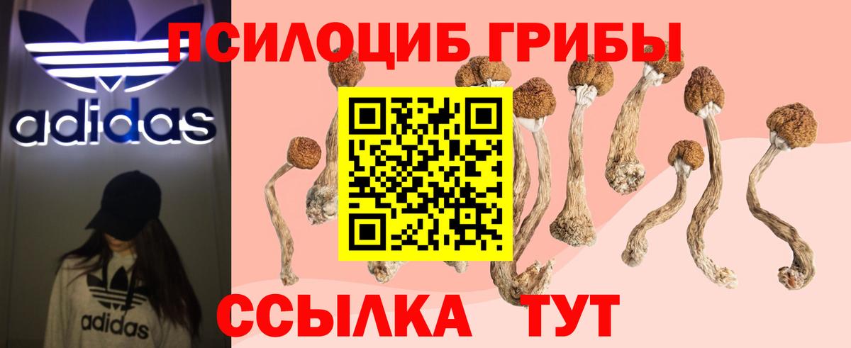 Егорьевск  Псилоцибиновые грибы прущие грибы  Галлюциногенные грибы Magic Shrooms  Вход с VPN 